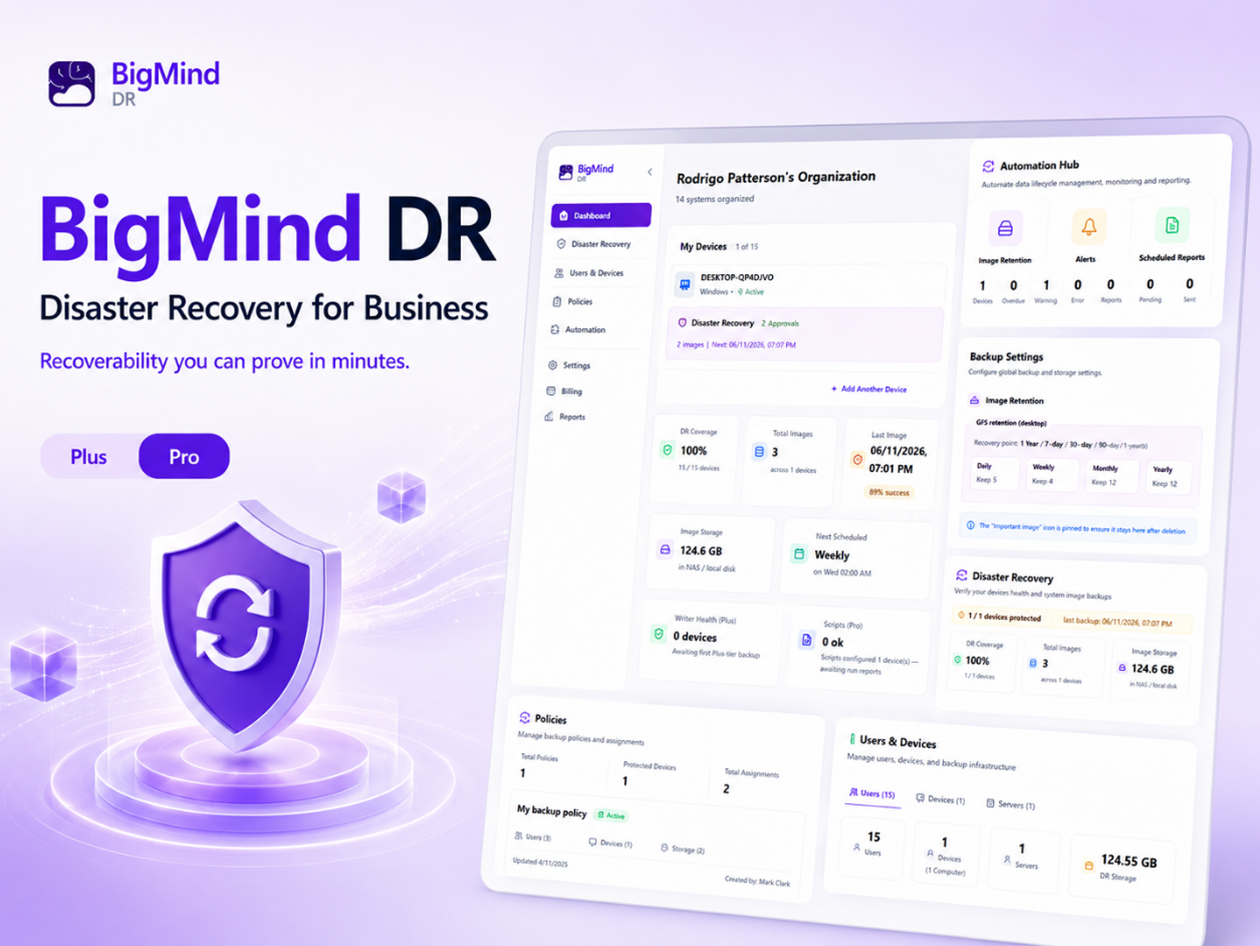 BigMind Data Recovery Pro Plan: Lifetime Subscription