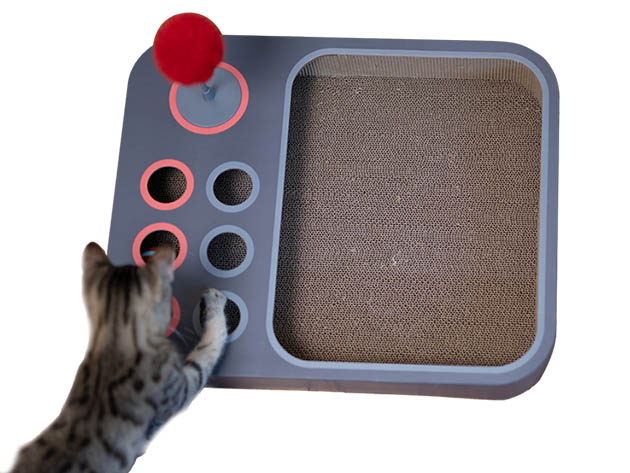 Cheerble Board Game: All-in-One Interactive Toy for Cats