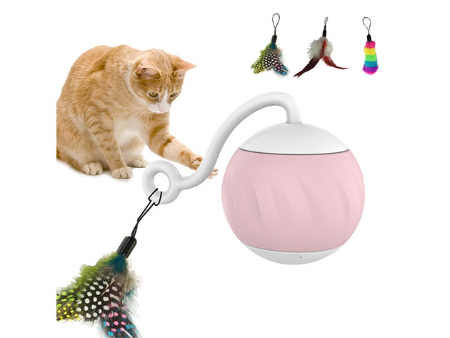 Interactive Cat Toy with LED Light