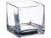 Afloral Clear Cube Glass Vase 5" x 5"