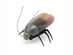 The iOS Controlled Bug + Free Worldwide Shipping
