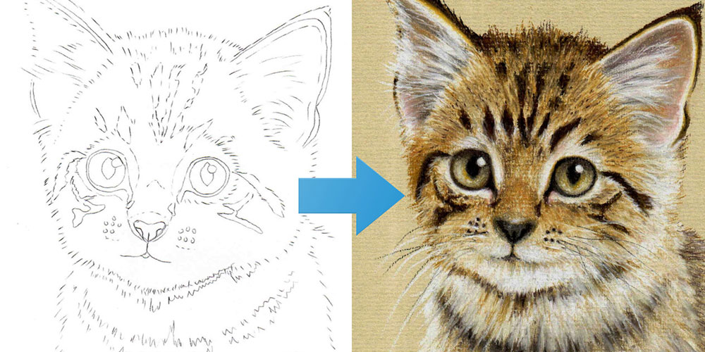 Draw a Kitten Using Pastel Pencils