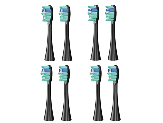 Smart Sonic Dental Care Toothbrush with 8 Brush Heads