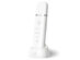 Essia Ultrasonic Exfoliating Skin Spatula