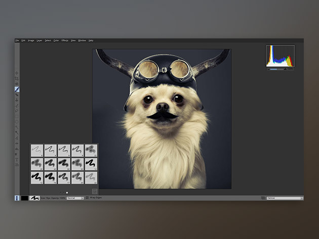 Pixeluvo Photo Editor for Windows & Linux