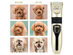 Pet Grooming Hair Clipper Set
