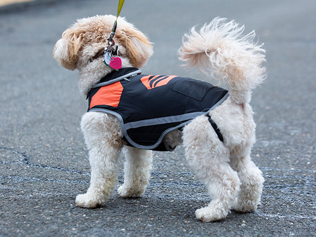 5V Rechargeable Waterproof Heated Dog Vest (Large)
