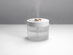Missed Global Luna Humidifier