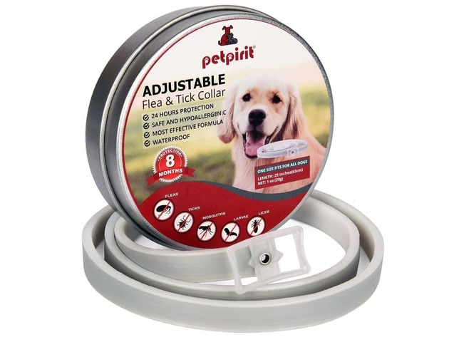 Petpirit Flea and Tick Adjustable Prevention Collar for Dogs, 8 Months Protection, One Size Fits All