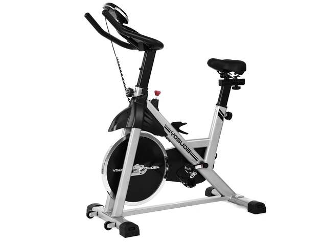 YOSUDA Indoor Stationary Cycling Bike (YB001R & Mat)