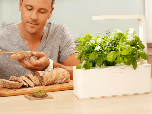 Smart Herb Garden Starter Kit & 3-Pack Refill (International)