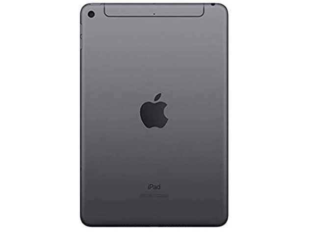 iPad mini 5 64GB Wi-Fiモデル Space Gray 71ZZtEr4kaL._AC_SY200_QL15_.jpg