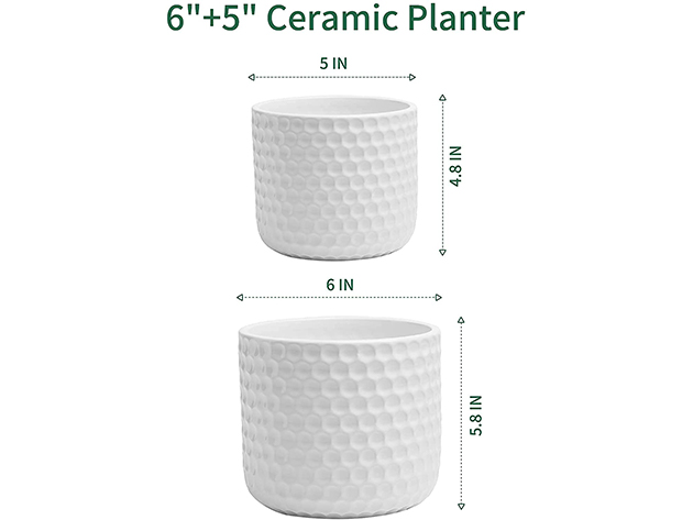 Potey 6" & 5" Ceramic Planter Set