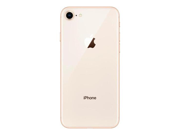 Apple iPhone 8 (A1863) 256GB - Gold (Grade A Refurbished: Wi-Fi + Unlocked)