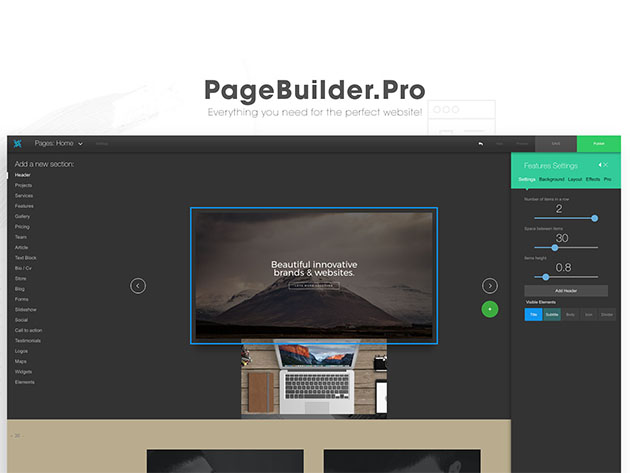 Page Builder Pro Plan: 2-Yr Subscription