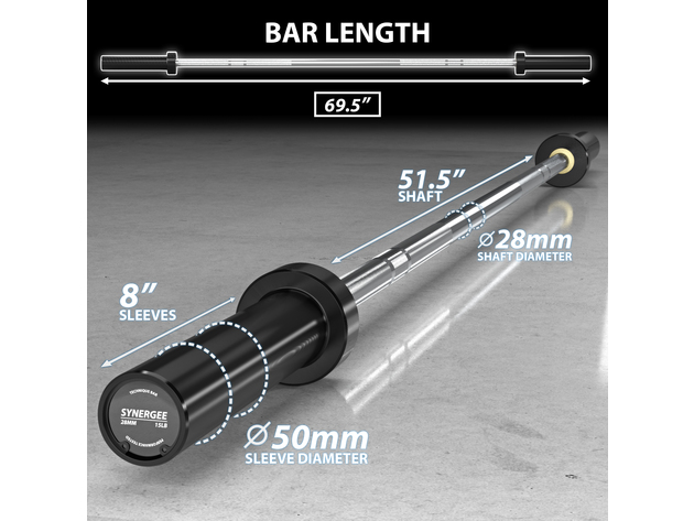 Synergee Technique Barbell - Silver