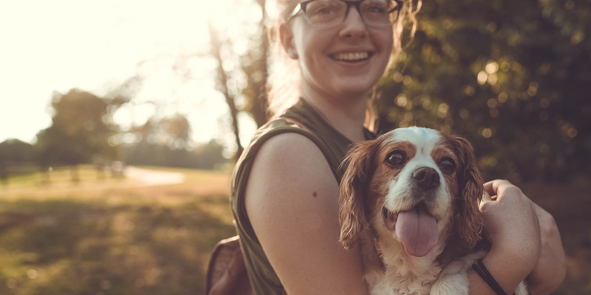 How to Train and Raise a Healthy Dog Master Class Set