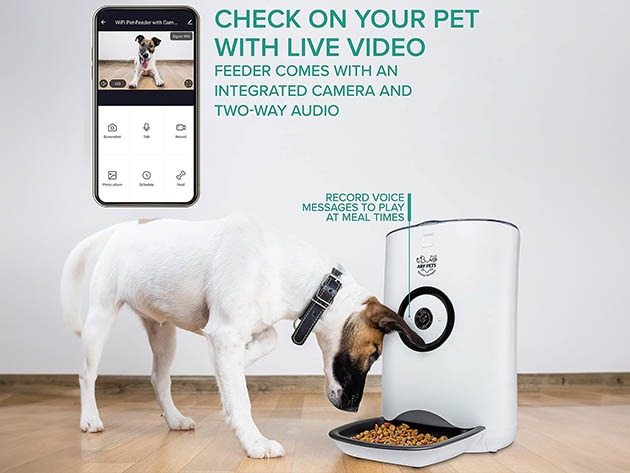 Arf Pets Smart Automated Pet Feeder with Video Camera