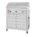 Fuego F36S 304SS Gas Grill