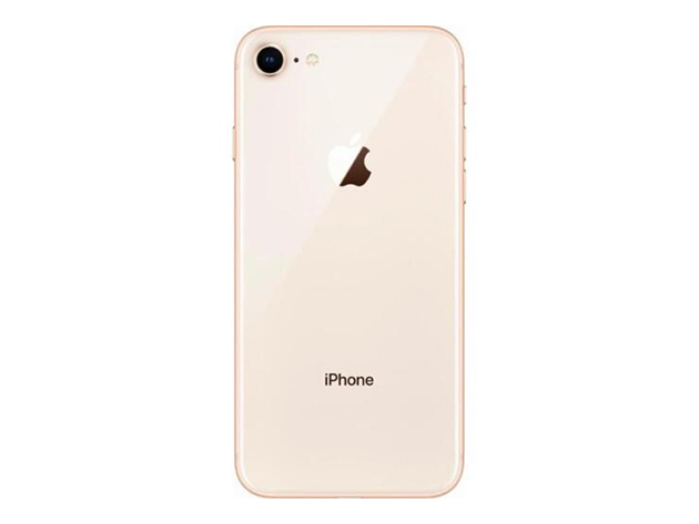 Apple iPhone 8 (A1863) 256GB - Gold (Grade A+ Refurbished: Wi-Fi + Unlocked)