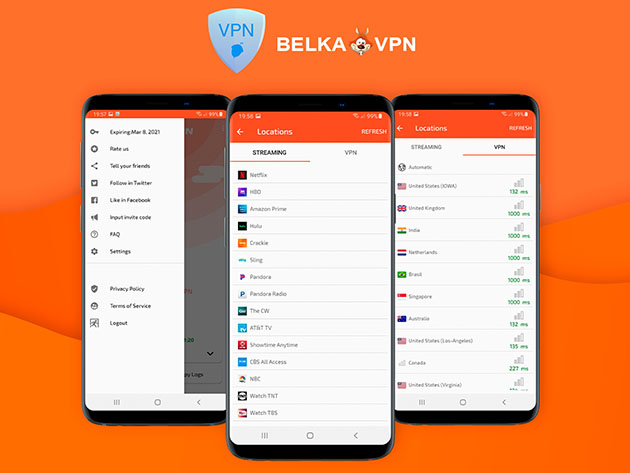 BelkaVPN: Lifetime Subscription