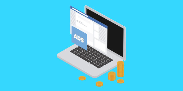 Facebook Ads: Marketing Your WordPress Website's Products - Product Image