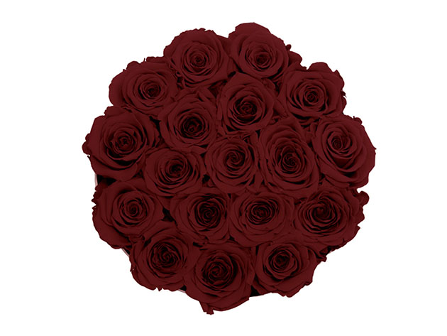 Medium White Box with Red Wine Roses