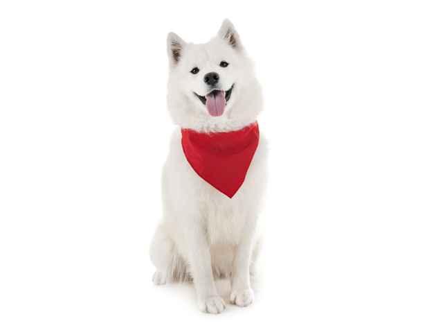 Balec Dog Solid Cotton Bandanas - 5 Pieces - Scarf Triangle Bibs for Any Small, Medium or Large Pets - Red